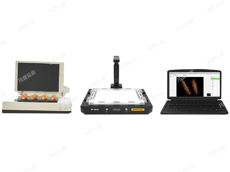 自動考種分析系統(tǒng) TPKZ-1-G