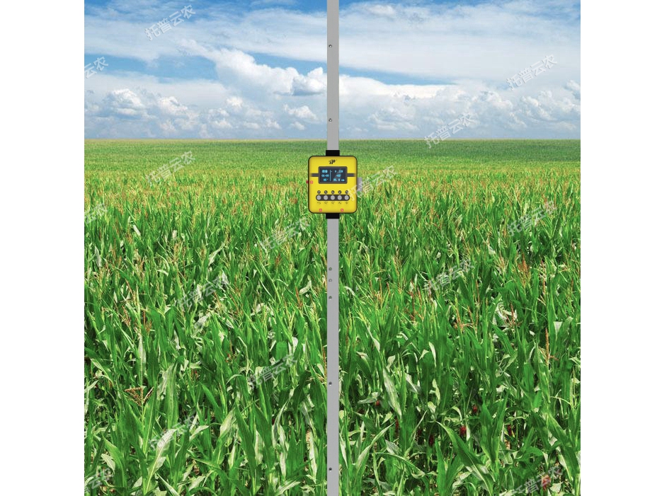 活體抗倒伏測定儀 TPDF-1