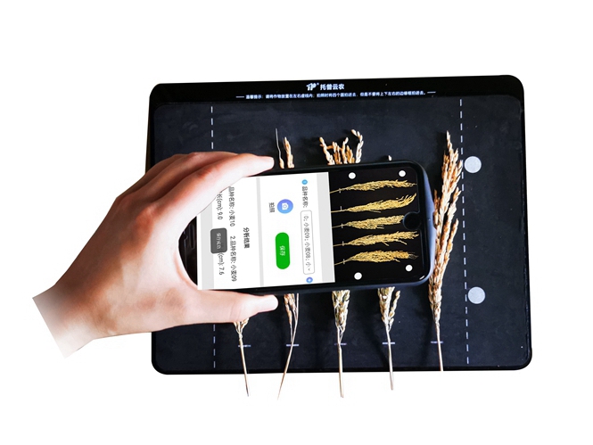 稻穗形態(tài)測量儀 TPDS-X-1